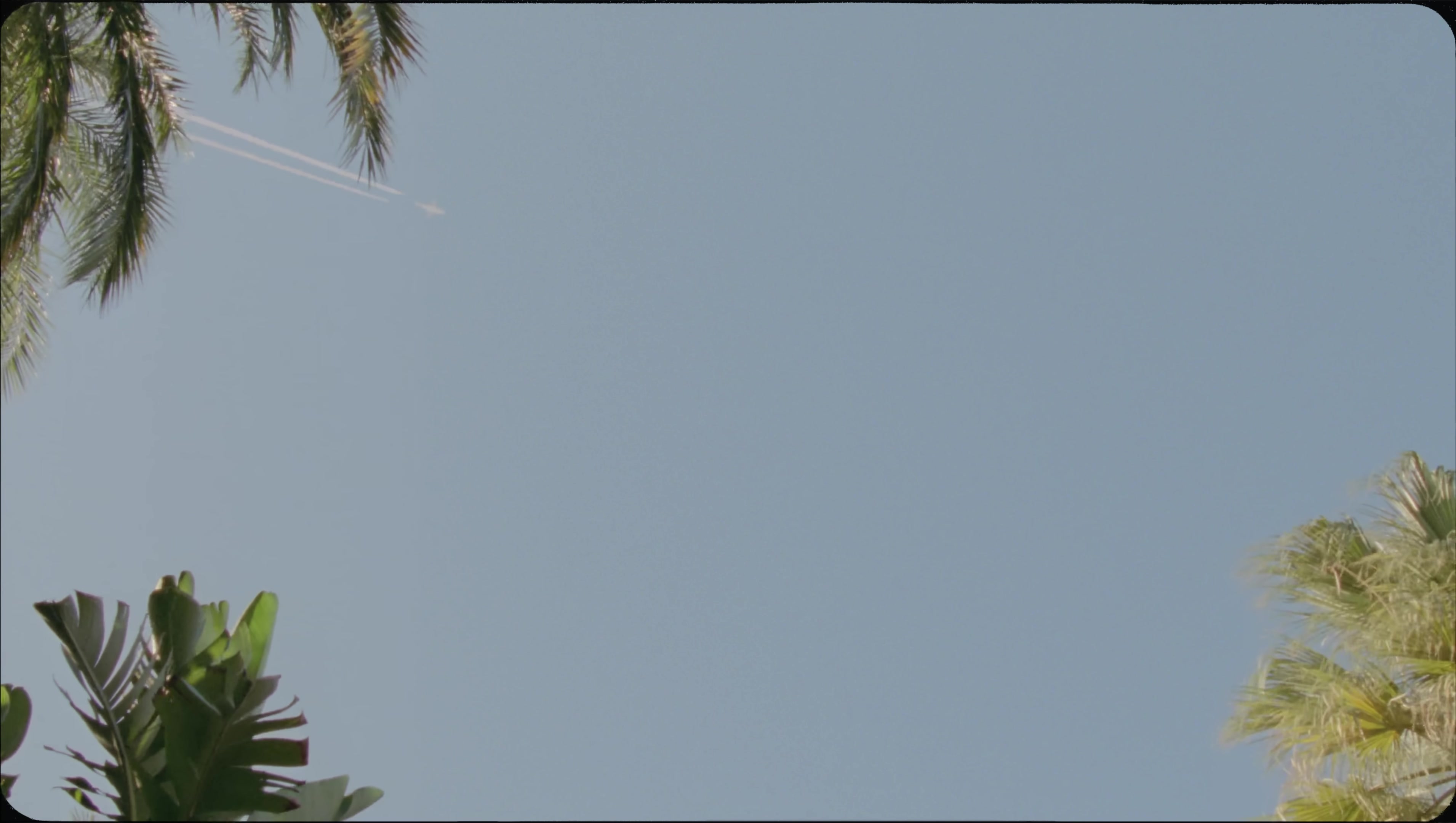 C. Tangana - La Culpa